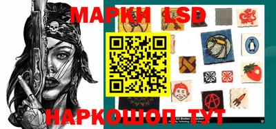 сатива Ставрополь