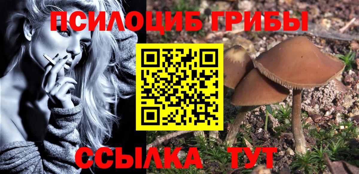 Псилоцибиновые грибы Psilocybine cubensis  Вход с VPN  цены   Орёл 